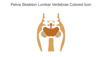 Pelvis Skeleton Lumbar Vertebrae Colored Icon In Powerpoint Pptx Png And Editable Eps Format