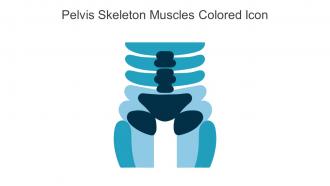 Pelvis Skeleton Muscles Colored Icon In Powerpoint Pptx Png And Editable Eps Format