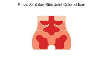 Pelvis Skeleton Ribs Joint Colored Icon In Powerpoint Pptx Png And Editable Eps Format