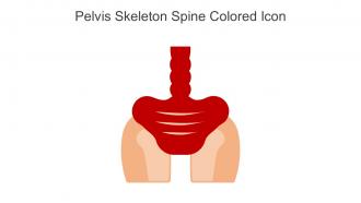 Pelvis Skeleton Spine Colored Icon In Powerpoint Pptx Png And Editable Eps Format