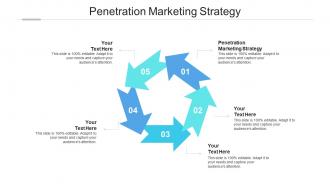 Penetration marketing strategy ppt powerpoint presentation pictures background designs cpb