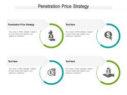 Penetration price strategy ppt powerpoint presentation professional slide cpb
