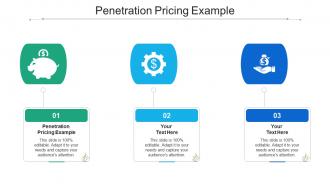 Penetration pricing example ppt powerpoint presentation professional shapes cpb