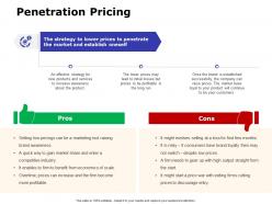 Penetration pricing ppt powerpoint presentation gallery vector