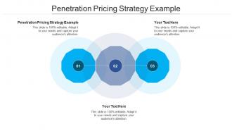 Penetration pricing strategy example ppt powerpoint presentation professional cpb