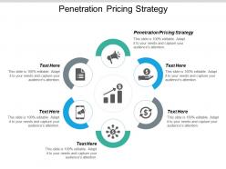 Penetration pricing strategy ppt powerpoint presentation layouts graphics design cpb