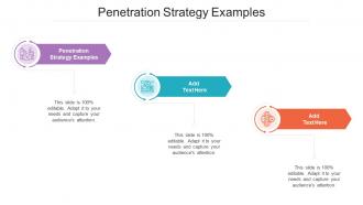 Penetration Strategy Examples In Powerpoint And Google Slides Cpb