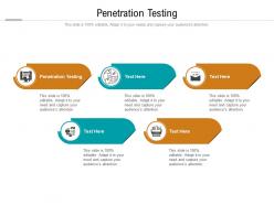 Penetration testing ppt powerpoint presentation visual aids ideas cpb