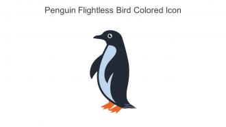 Penguin Flightless Bird Colored Icon In Powerpoint Pptx Png And Editable Eps Format