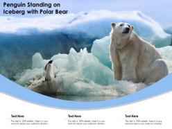 Penguin standing on iceberg with polar bear
