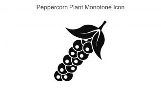 Peppercorn Plant Monotone Icon In Powerpoint Pptx Png And Editable Eps Format