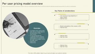 Per User Pricing Model For Managed Services Per User Pricing Model Overview