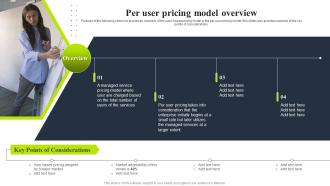 Per user pricing model overview tiered pricing model for managed service