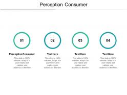 Perception consumer ppt powerpoint presentation gallery brochure cpb
