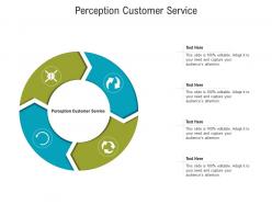 Perception customer service ppt powerpoint presentation infographics picture cpb