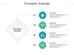 Perception example ppt powerpoint presentation show layout ideas cpb