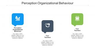 Perception Organizational Behaviour Ppt Powerpoint Presentation File Smartart Cpb