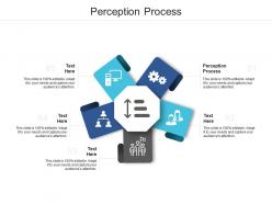 Perception process ppt powerpoint presentation outline design templates cpb