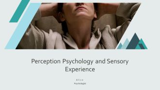 Perception Psychology And Sensory Experience PPT Demonstration AT