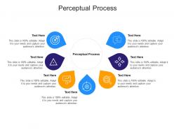 Perceptual process ppt powerpoint presentation portfolio inspiration cpb