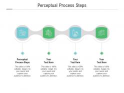 Perceptual process steps ppt powerpoint presentation portfolio mockup cpb