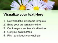 Perennial aster flowers nature powerpoint templates and powerpoint backgrounds 0211