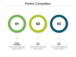 Perfect competition ppt powerpoint presentation show portrait cpb