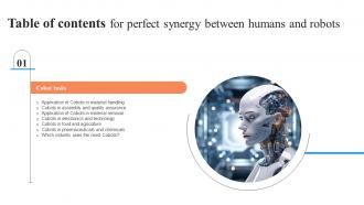 Perfect Synergy Between Humans And Robots Table Of Contents