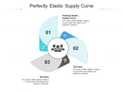 Perfectly elastic supply curve ppt powerpoint presentation slides outfit cpb