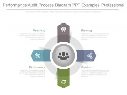 Performance audit process diagram ppt examples professional