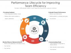 Performance lifecycle for improving team efficiency