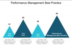 Performance management best practice ppt powerpoint presentation summary portfolio cpb