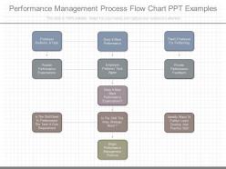 Performance Management Process Flow Chart Ppt Examples