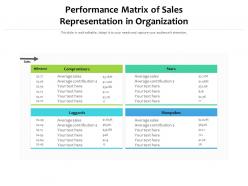 Performance Matrix Of Sales Representation In Organization