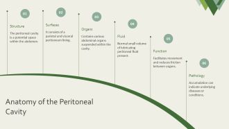 Peritoneal Fluid Accumulation Causes And Clinical PPT Presentation AT Template Editable