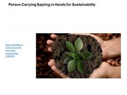Person carrying sapling in hands for sustainability