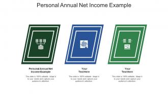 Personal annual net income example ppt powerpoint presentation icon gallery cpb