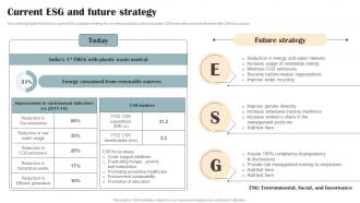 Personal Care Products Company Profile Current ESG And Future Strategy CP SS V