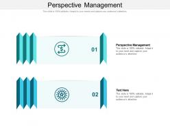 Perspective management ppt powerpoint presentation file graphic images cpb