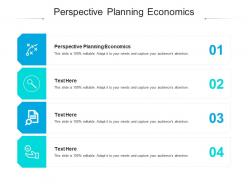 Perspective planning economics ppt powerpoint presentation summary infographics cpb