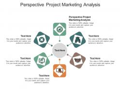 Perspective project marketing analysis ppt powerpoint presentation styles example topics cpb