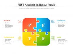 Pest analysis in jigsaw puzzle