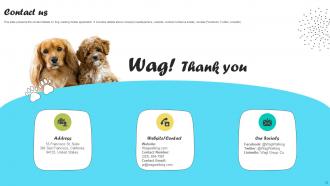 Pet Care Service Application Pitch Deck Ppt Template Impressive Downloadable
