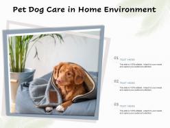 Pet dog care in home environment