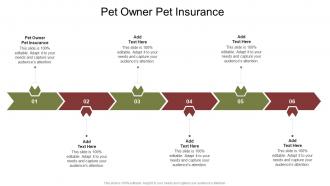 Pet Owner Pet Insurance In Powerpoint And Google Slides Cpb
