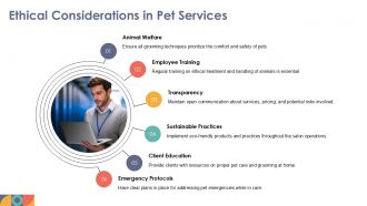 Pet Salon Business Plan PPT Slides ACP Image Template