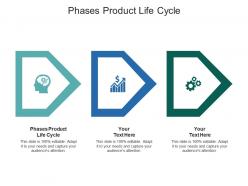 Phases product life cycle ppt powerpoint presentation file files cpb