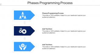 Phases Programming Process Ppt Powerpoint Presentation Infographics Cpb