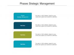 Phases strategic management ppt powerpoint presentation layouts design ideas cpb