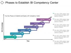 Phases to establish bi competency center